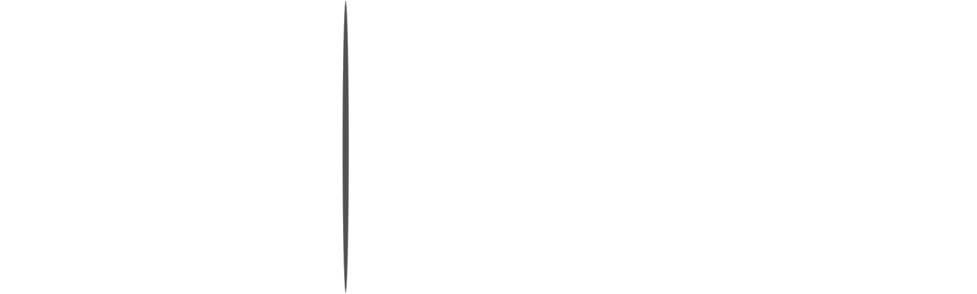 ELEVARE WEALTH MANAGEMENT LIMITED
